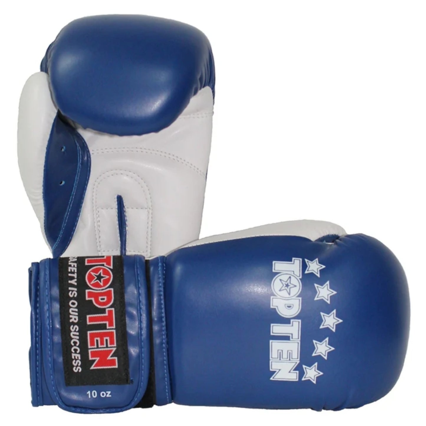 TOP TEN 12oz BOXING GLOVES